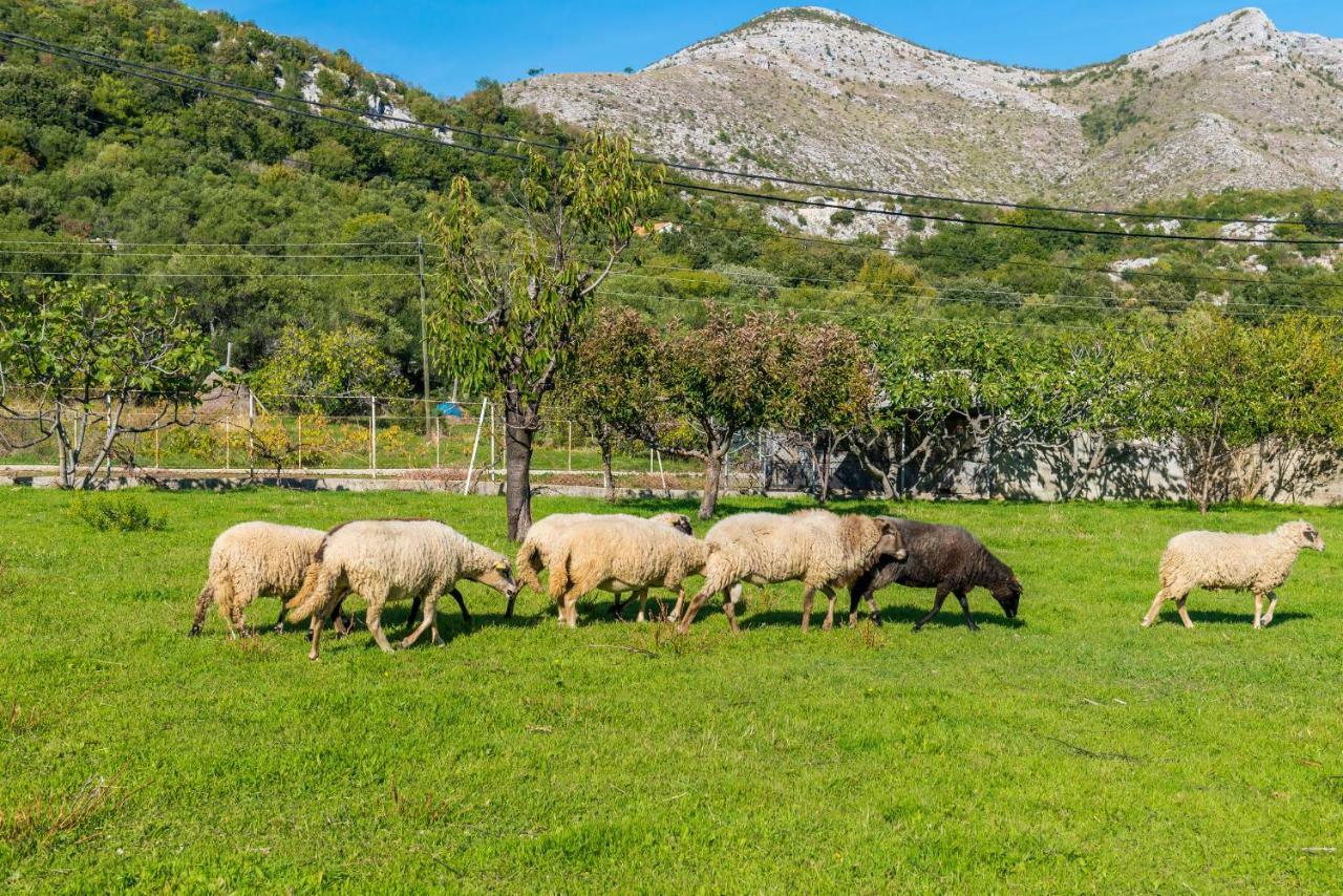 Luki Home Dubrovnik Bagian luar foto